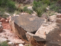 Petroglyphs at Red Rock